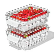 OXO Berry Keeper- 2 Pack